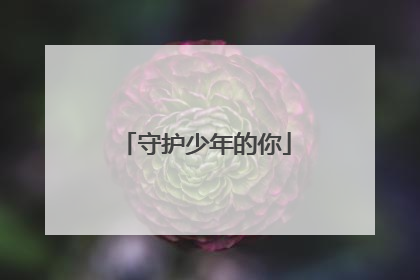 守护少年的你