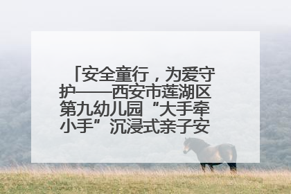 安全童行，为爱守护——西安市莲湖区第九幼儿园“大手牵小手”沉浸式亲子安全体验活动
