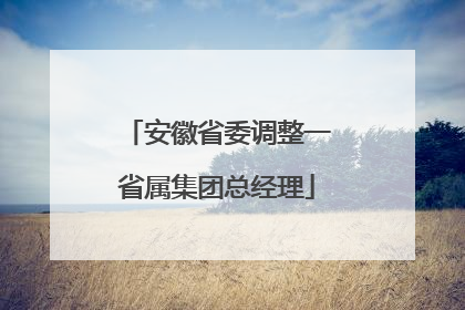 安徽省委调整一省属集团总经理