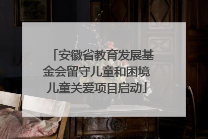 安徽省教育发展基金会留守儿童和困境儿童关爱项目启动