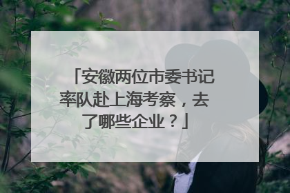 安徽两位市委书记率队赴上海考察，去了哪些企业？