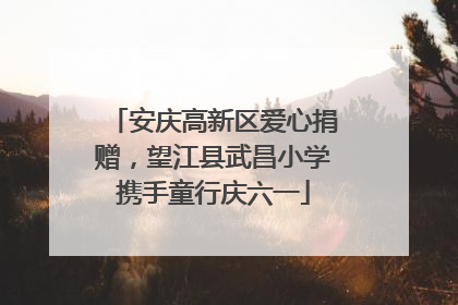安庆高新区爱心捐赠，望江县武昌小学携手童行庆六一