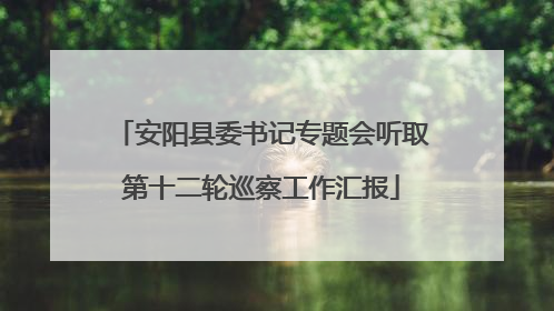 安阳县委书记专题会听取第十二轮巡察工作汇报