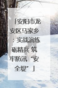 安阳市龙安区马家乡：实战演练砺精兵 筑牢防汛“安全堤”