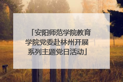 安阳师范学院教育学院党委赴林州开展系列主题党日活动