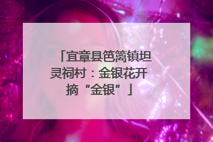宜章县笆篱镇坦灵祠村：金银花开摘“金银”