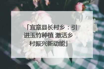 宜章县长村乡：引进玉竹种植 激活乡村振兴新动能