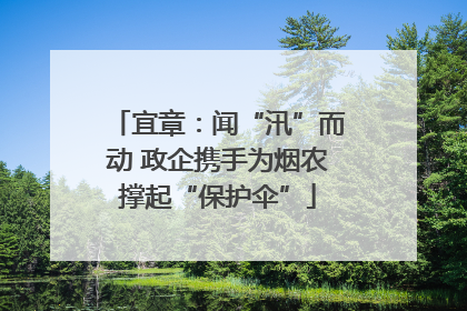 宜章：闻“汛”而动 政企携手为烟农撑起“保护伞”