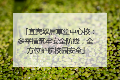 宜宾翠屏草堂中心校：多举措筑牢安全防线，全方位护航校园安全