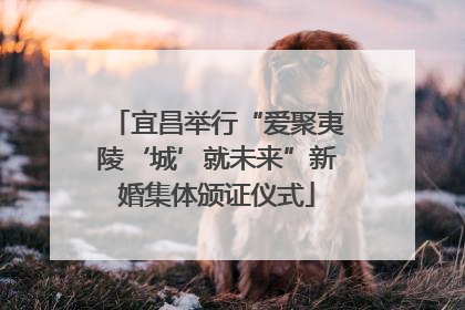 宜昌举行“爱聚夷陵‘城’就未来”新婚集体颁证仪式