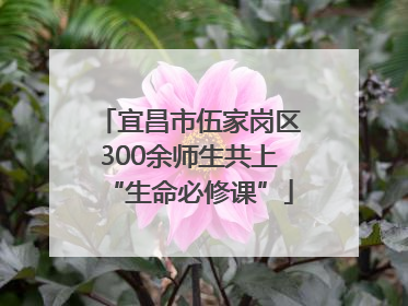 宜昌市伍家岗区300余师生共上“生命必修课”
