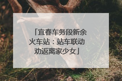 宜春车务段新余火车站：站车联动劝返离家少女