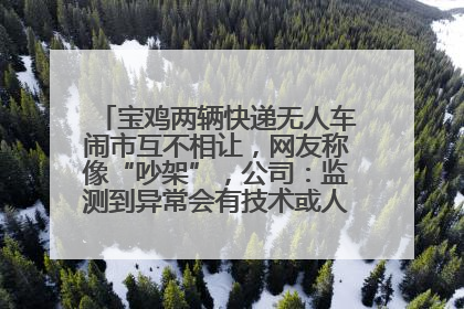 宝鸡两辆快递无人车闹市互不相让，网友称像“吵架”，公司：监测到异常会有技术或人为干预处置