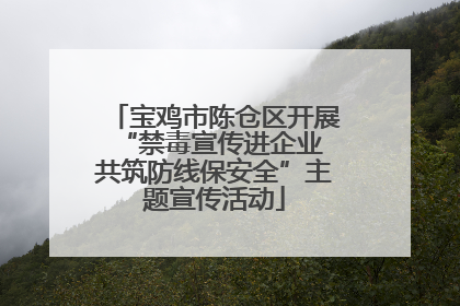 宝鸡市陈仓区开展“禁毒宣传进企业 共筑防线保安全”主题宣传活动