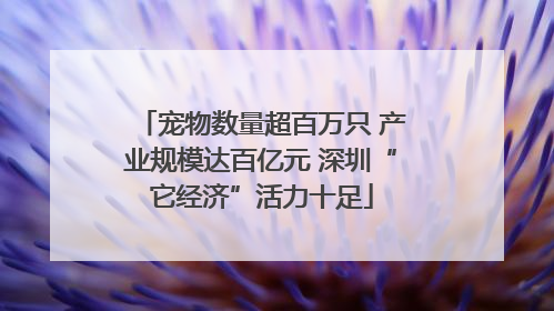 宠物数量超百万只 产业规模达百亿元 深圳“它经济”活力十足