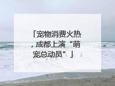 宠物消费火热，成都上演“萌宠总动员”