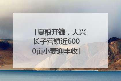 夏粮开镰，大兴长子营镇近6000亩小麦迎丰收