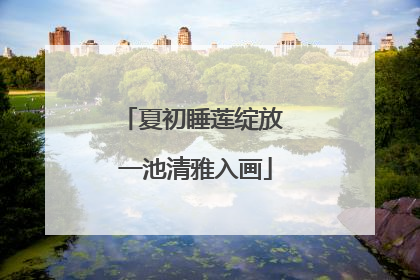 夏初睡莲绽放 一池清雅入画