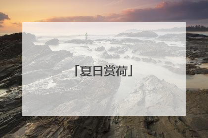 夏日赏荷