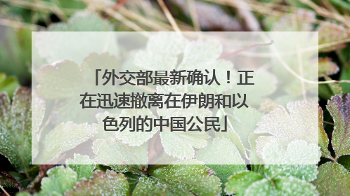 外交部最新确认！正在迅速撤离在伊朗和以色列的中国公民