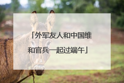 外军友人和中国维和官兵一起过端午