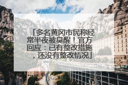 多名黄冈市民称经常半夜被臭醒！官方回应：已有整改措施，还没有整改情况