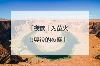 夜读丨为萤火虫哭泣的夜晚