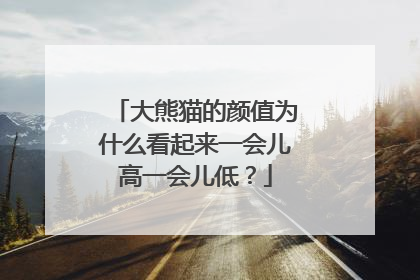 大熊猫的颜值为什么看起来一会儿高一会儿低？