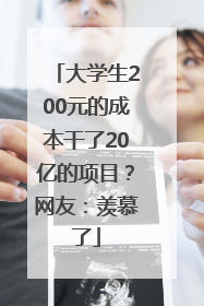 大学生200元的成本干了20亿的项目？网友：羡慕了