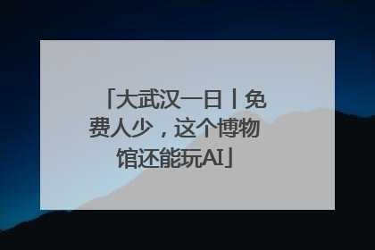 大武汉一日丨免费人少，这个博物馆还能玩AI