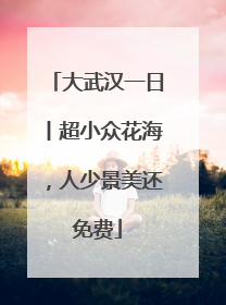 大武汉一日丨超小众花海，人少景美还免费