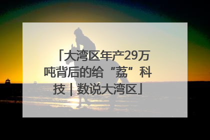 大湾区年产29万吨背后的给“荔”科技｜数说大湾区