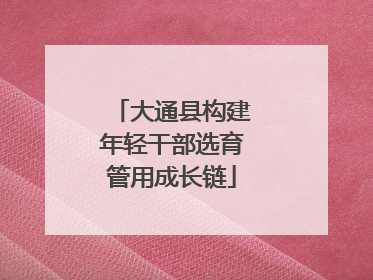 大通县构建年轻干部选育管用成长链