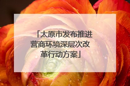 太原市发布推进营商环境深层次改革行动方案