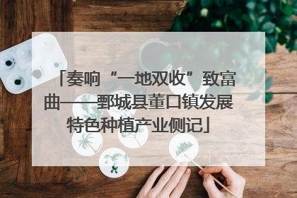 奏响“一地双收”致富曲——鄄城县董口镇发展特色种植产业侧记