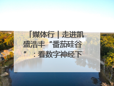 媒体行｜走进凯盛浩丰“番茄硅谷”：看数字神经下的精准农业