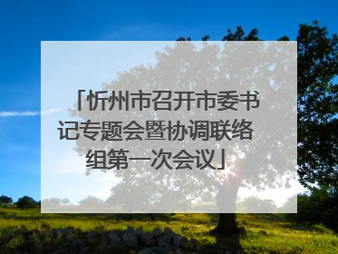 忻州市召开市委书记专题会暨协调联络组第一次会议