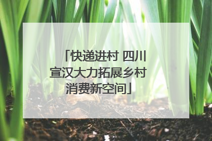 快递进村 四川宣汉大力拓展乡村消费新空间
