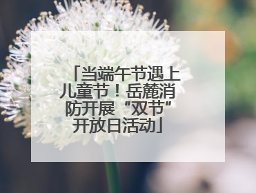 当端午节遇上儿童节！岳麓消防开展“双节”开放日活动
