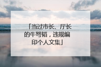 当过市长、厅长的牛弩韬，违规编印个人文集