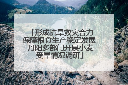 形成抗旱救灾合力 保障粮食生产稳定发展 丹阳多部门开展小麦受旱情况调研