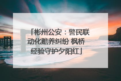 彬州公安：警民联动化赡养纠纷 枫桥经验守护夕阳红