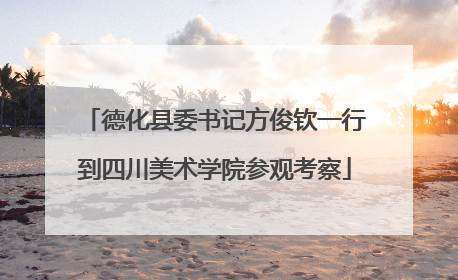 德化县委书记方俊钦一行到四川美术学院参观考察