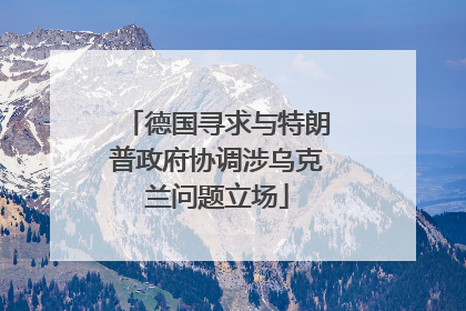 德国寻求与特朗普政府协调涉乌克兰问题立场