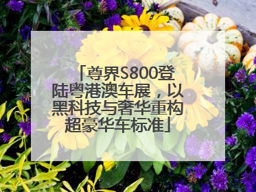 尊界S800登陆粤港澳车展，以黑科技与奢华重构超豪华车标准