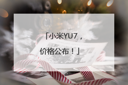 小米YU7，价格公布！
