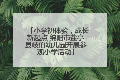 小学初体验，成长新起点 绵阳市盐亭县岐伯幼儿园开展参观小学活动