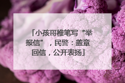 小孩哥稚笔写“举报信”，民警：盖章回信，公开表扬