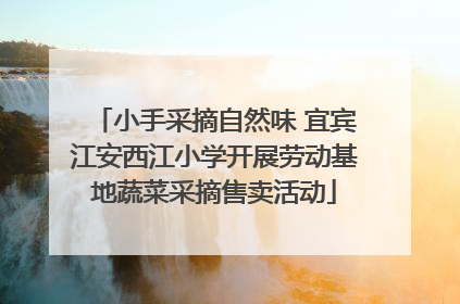 小手采摘自然味 宜宾江安西江小学开展劳动基地蔬菜采摘售卖活动