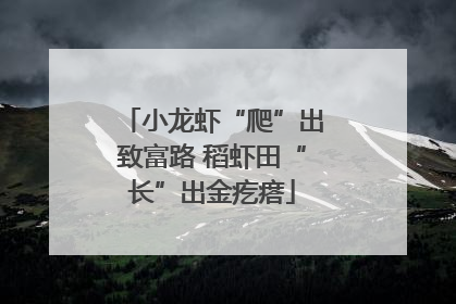 小龙虾“爬”出致富路 稻虾田“长”出金疙瘩